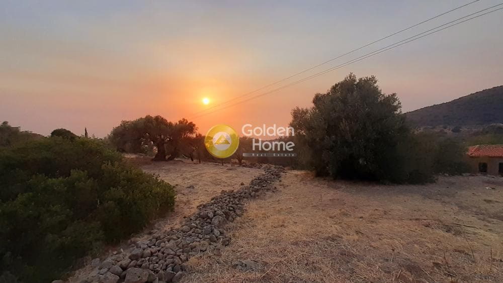 Οικόπεδο στην Παχεία Ράχη, Αίγινα — Φωτογραφία 1 από 6