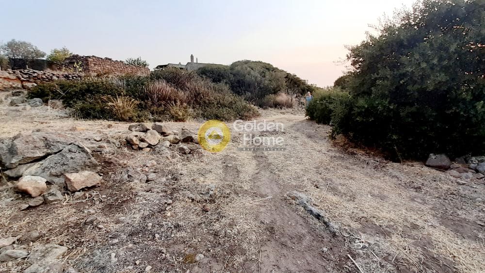 Οικόπεδο στην Παχεία Ράχη, Αίγινα — Φωτογραφία 3 από 6