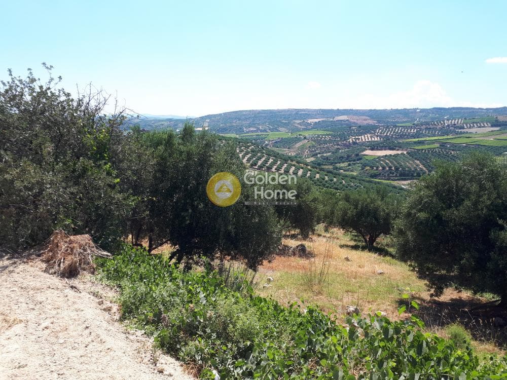 Οικόπεδο στην Βασιλείες, Αρχάνες — Φωτογραφία 11 από 15