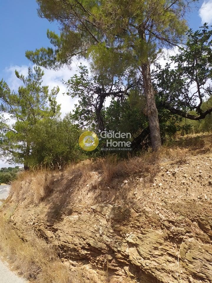 Building Plot in Pantanassa, Gazi — Photo 7 of 21