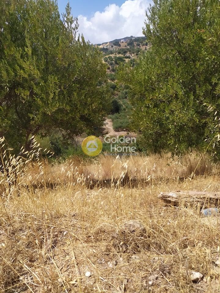 Building Plot in Pantanassa, Gazi — Photo 10 of 21