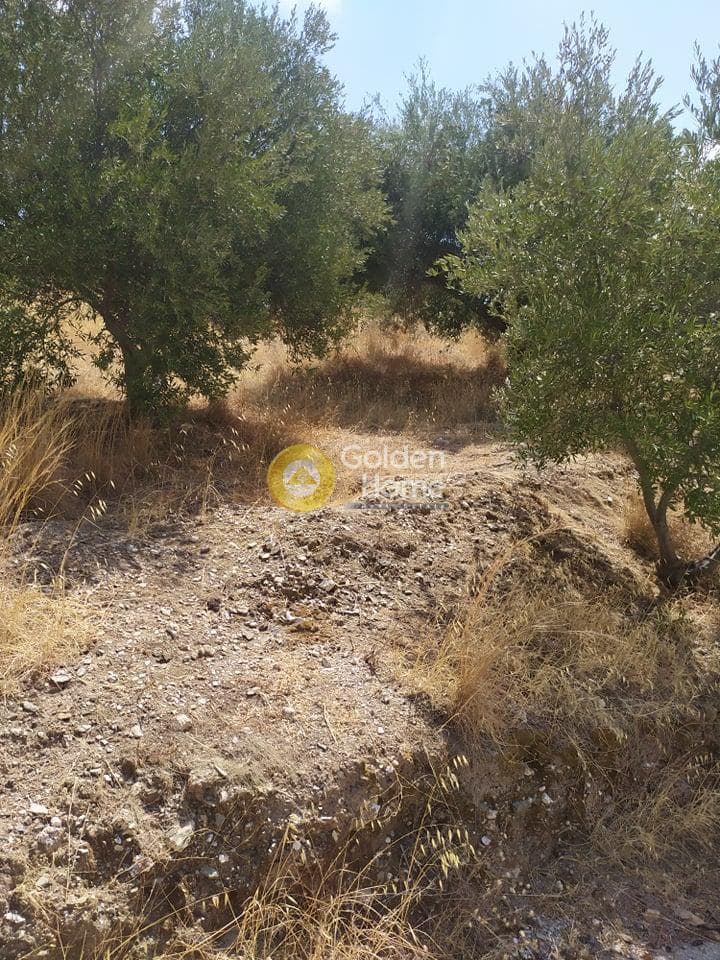 Building Plot in Pantanassa, Gazi — Photo 9 of 21