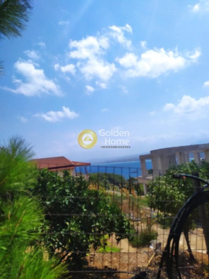 Building Plot in Pantanassa, Gazi — Photo 5 of 21