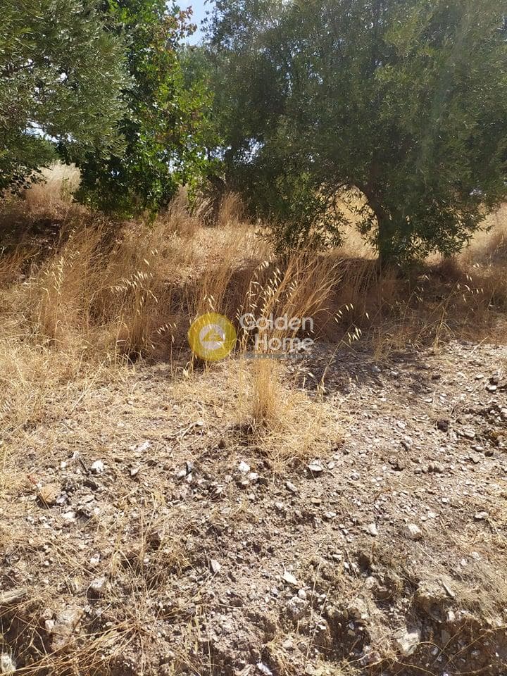 Building Plot in Pantanassa, Gazi — Photo 18 of 21