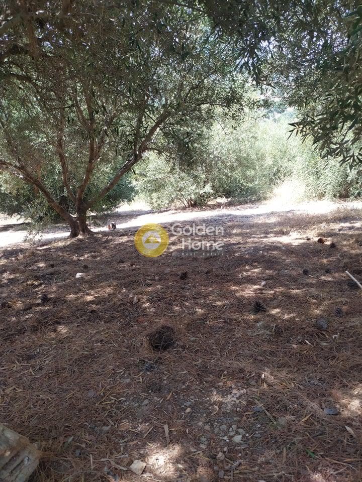 Building Plot in Pantanassa, Gazi — Photo 19 of 21
