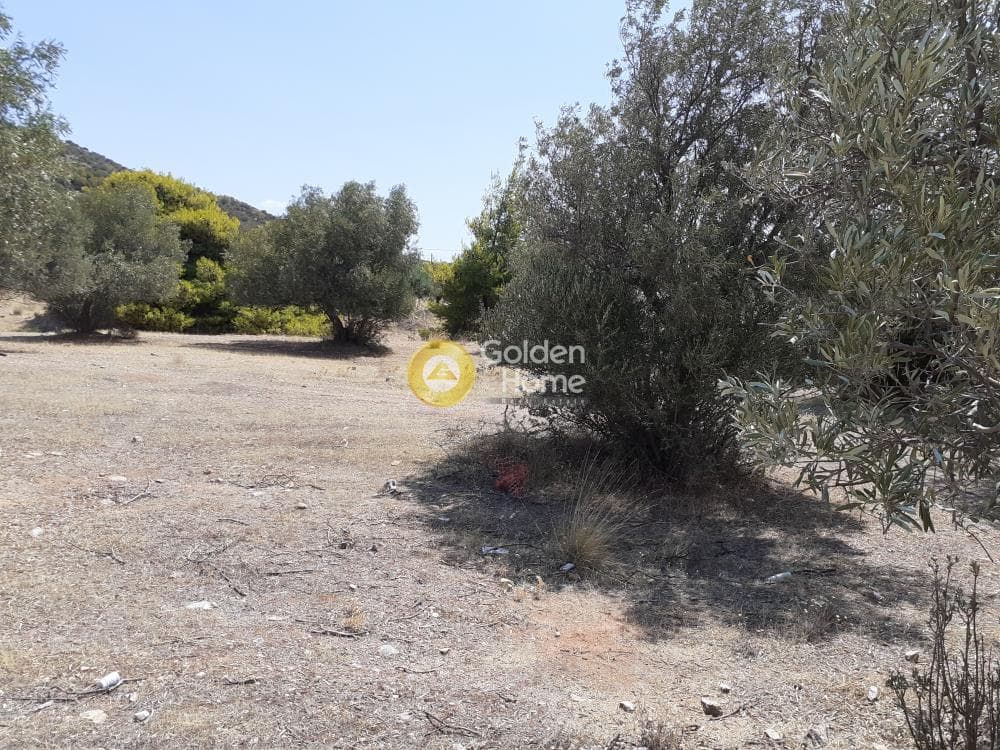 Building Plot in Lamprika, Koropi — Photo 12 of 24