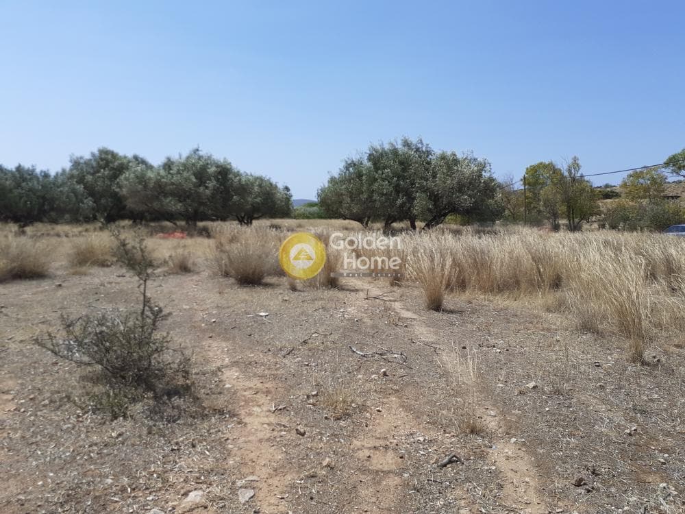 Building Plot in Lamprika, Koropi — Photo 15 of 24