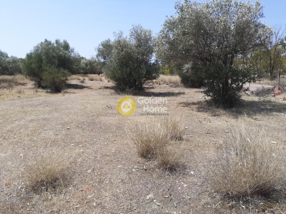 Building Plot in Lamprika, Koropi — Photo 19 of 24