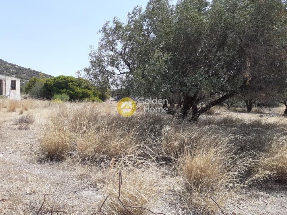 Building Plot in Lamprika, Koropi — Photo 22 of 24
