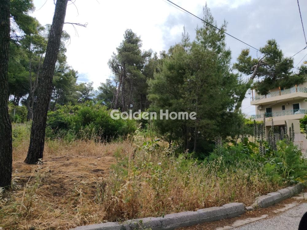Building Plot in Kallithea, Penteli — Photo 1 of 3