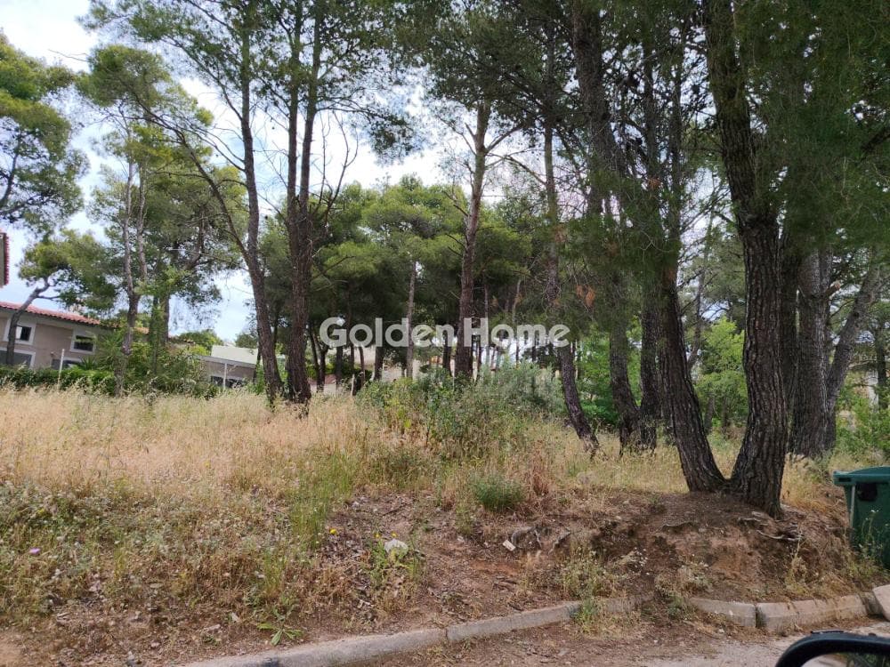 Building Plot in Kallithea, Penteli — Photo 2 of 3