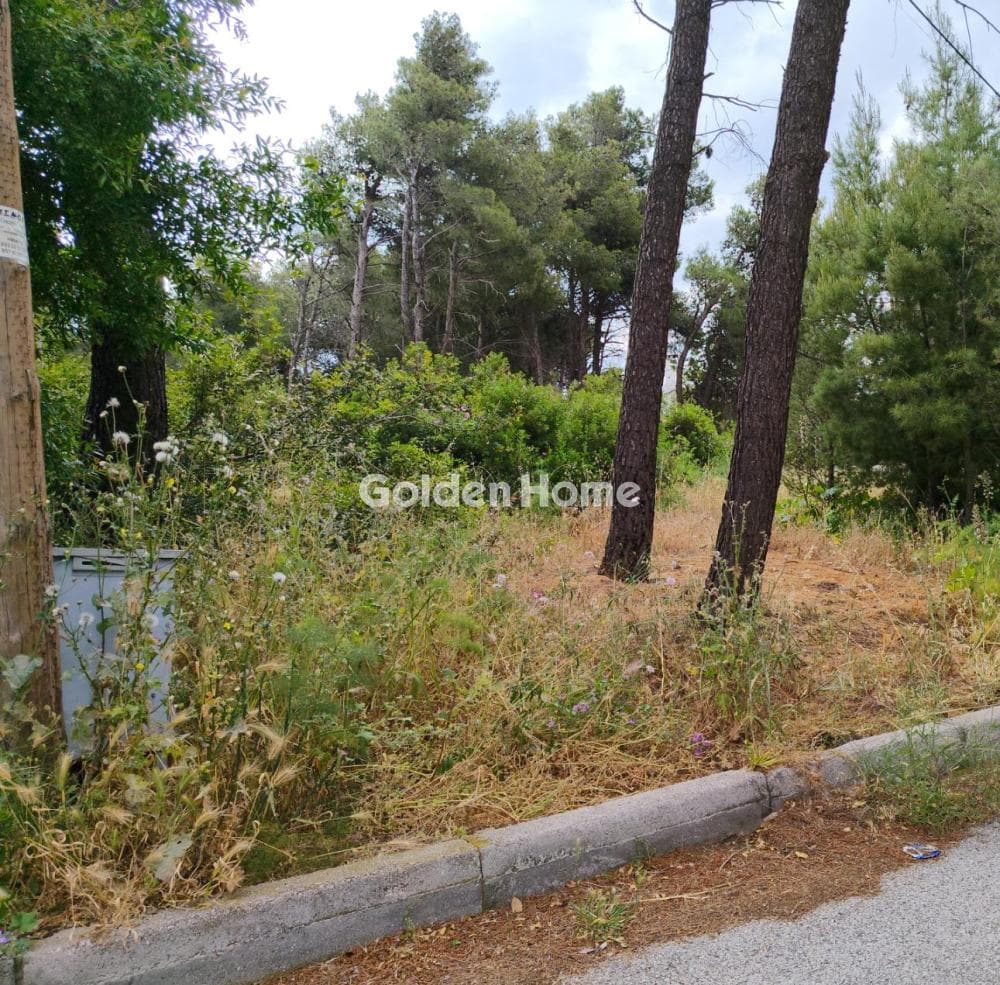 Building Plot in Kallithea, Penteli — Photo 3 of 3