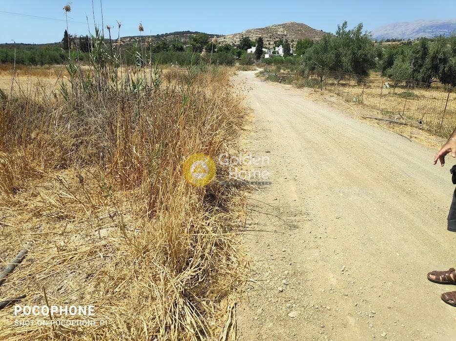 Αγροτεμάχιο στην Πετροκεφάλι, Μοίρες — Φωτογραφία 4 από 7