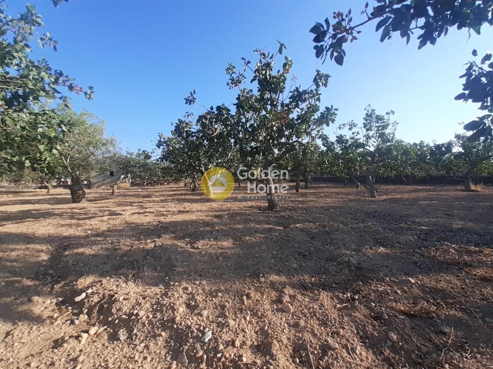 Building Plot in Kipseli, Aegina — Photo 3 of 5
