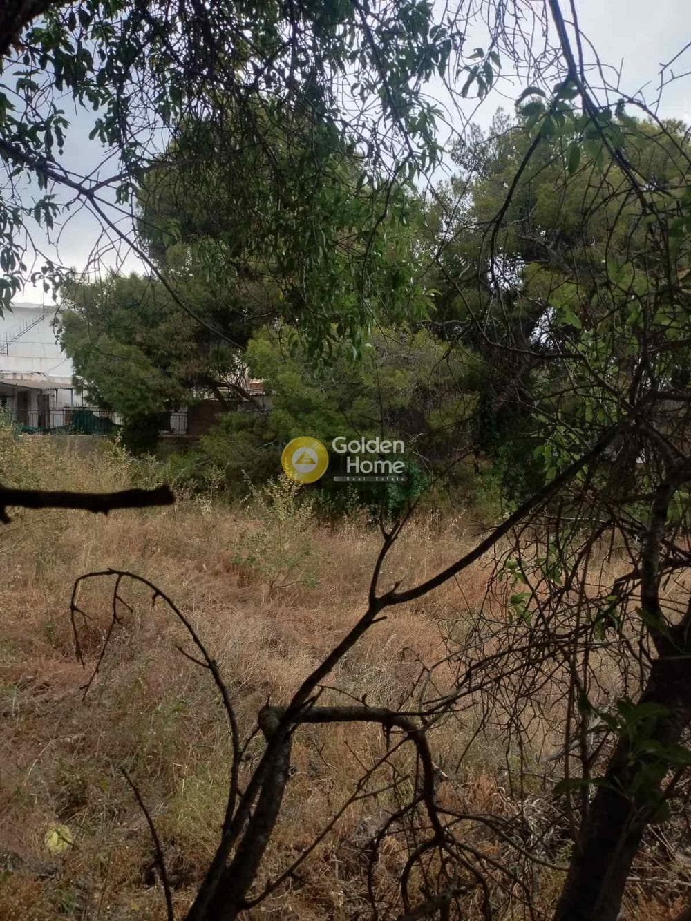 Building Plot in Selinia, Salamina — Photo 4 of 6