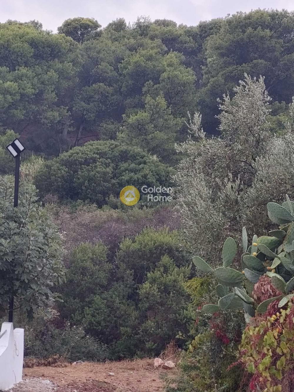 Αγροτεμάχιο στην Άγιος Σεραφείμ, Αρτέμιδα (Λούτσα) — Φωτογραφία 3 από 3