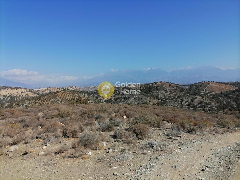 Οικόπεδο στην Πιτσίδια, Τυμπάκι — Φωτογραφία 4 από 24