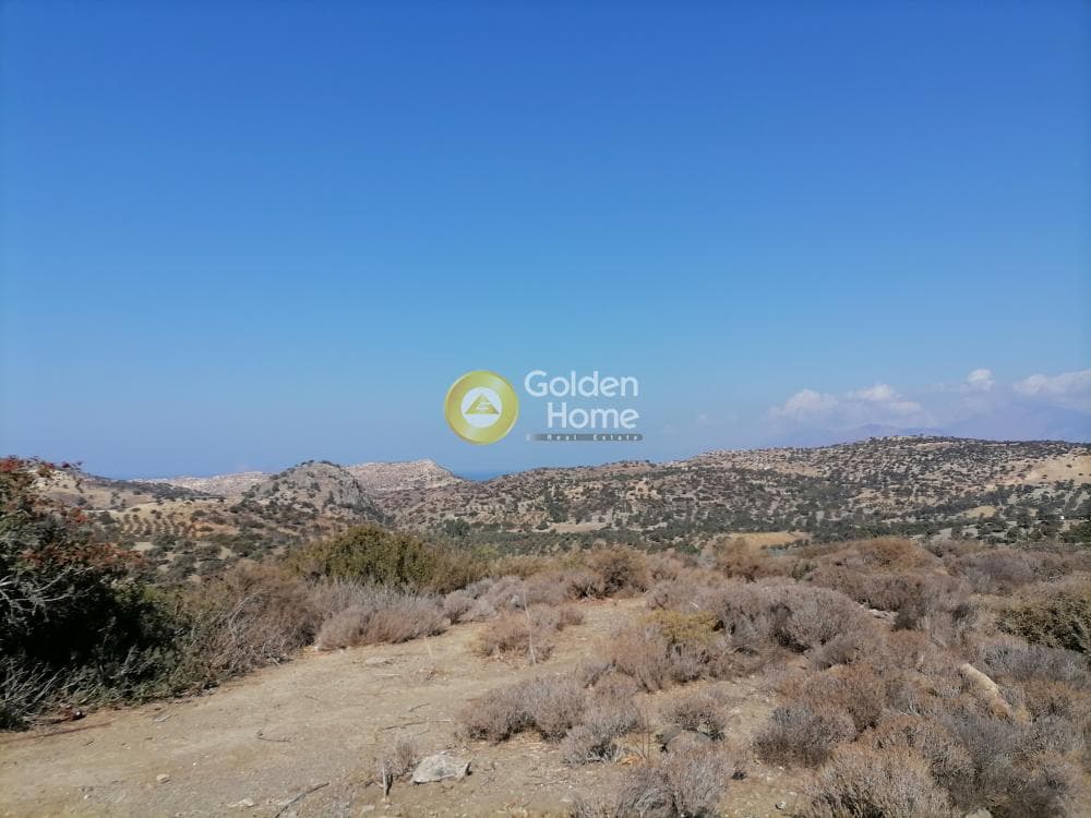 Οικόπεδο στην Πιτσίδια, Τυμπάκι — Φωτογραφία 7 από 24