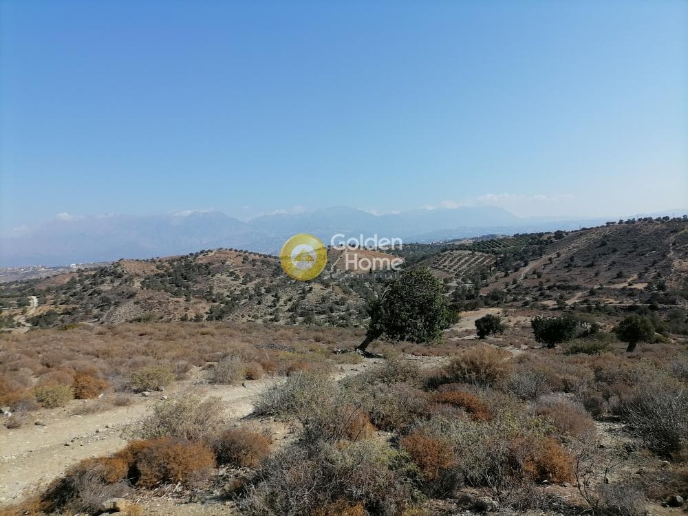 Οικόπεδο στην Πιτσίδια, Τυμπάκι — Φωτογραφία 9 από 24