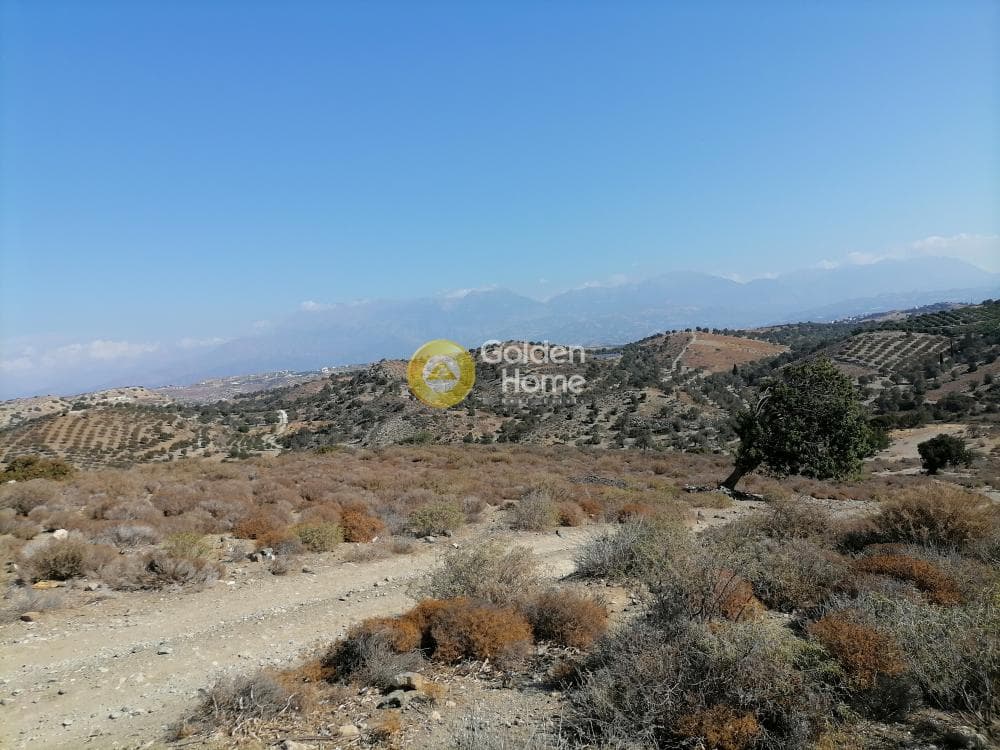 Οικόπεδο στην Πιτσίδια, Τυμπάκι — Φωτογραφία 10 από 24