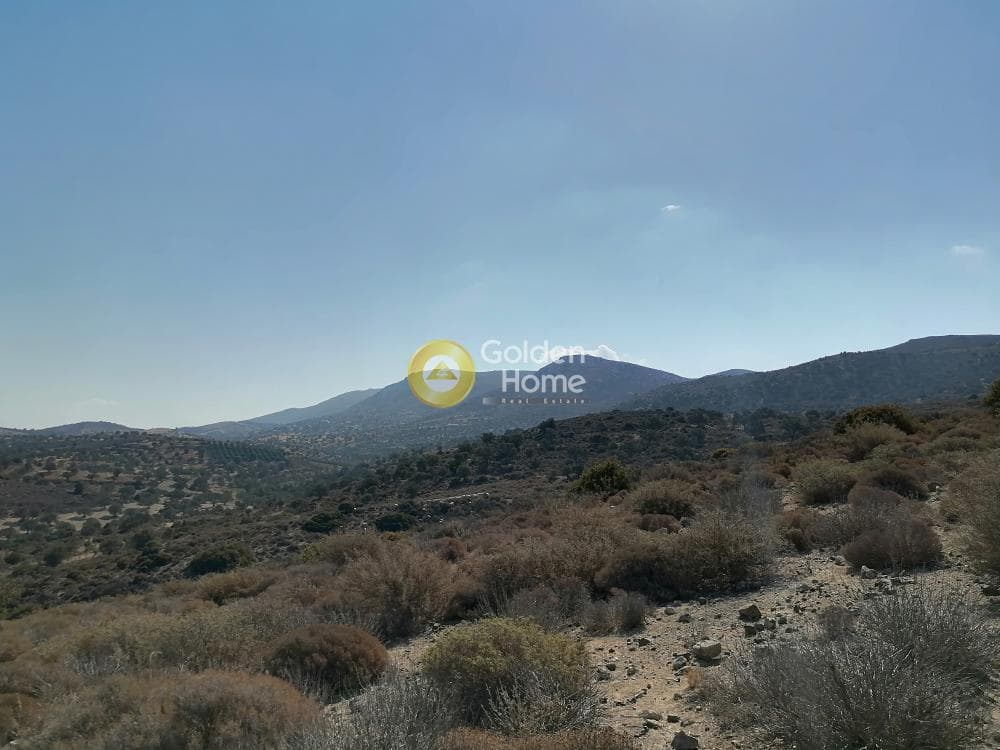 Οικόπεδο στην Πιτσίδια, Τυμπάκι — Φωτογραφία 13 από 24