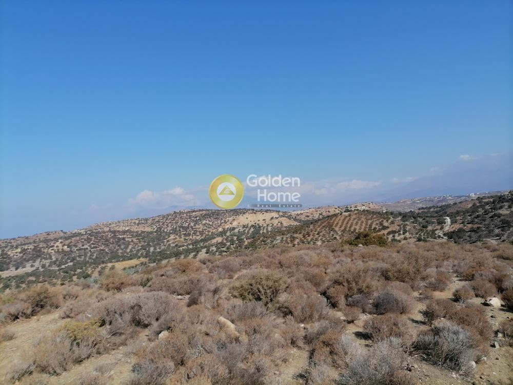 Οικόπεδο στην Πιτσίδια, Τυμπάκι — Φωτογραφία 14 από 24