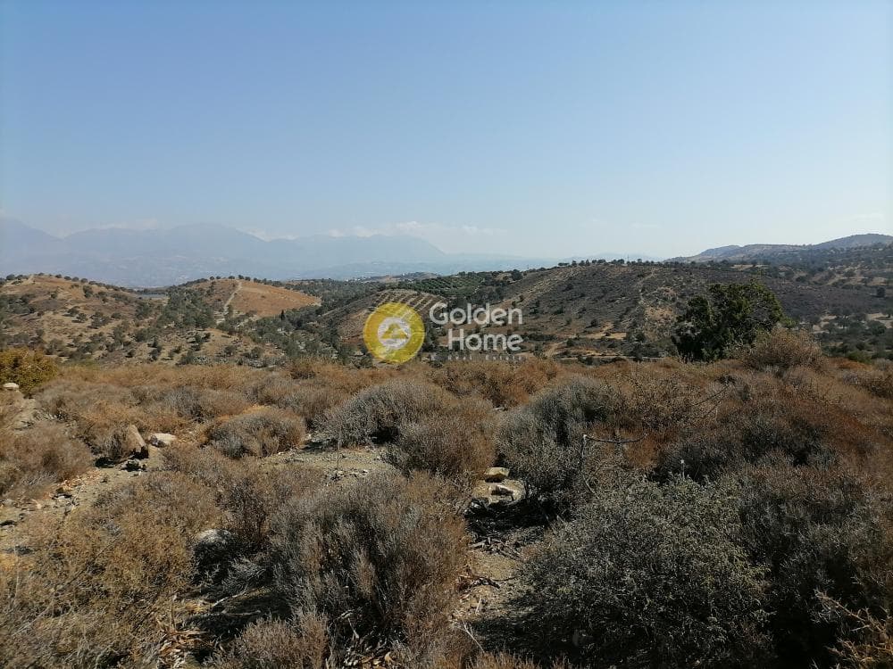 Οικόπεδο στην Πιτσίδια, Τυμπάκι — Φωτογραφία 15 από 24