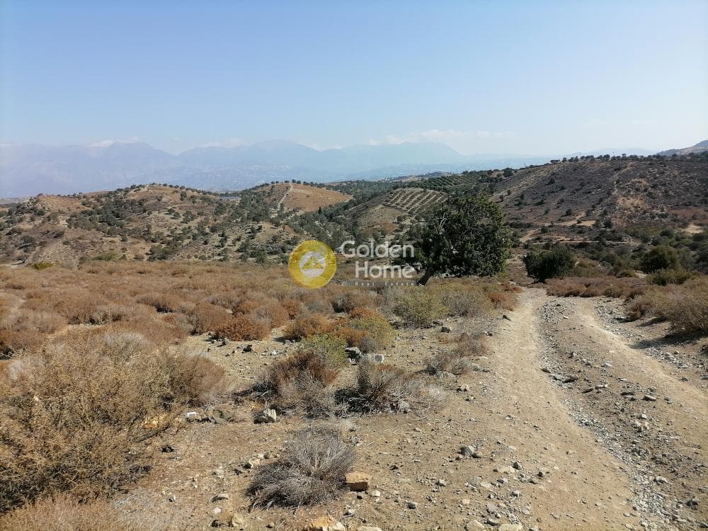 Οικόπεδο στην Πιτσίδια, Τυμπάκι — Φωτογραφία 16 από 24