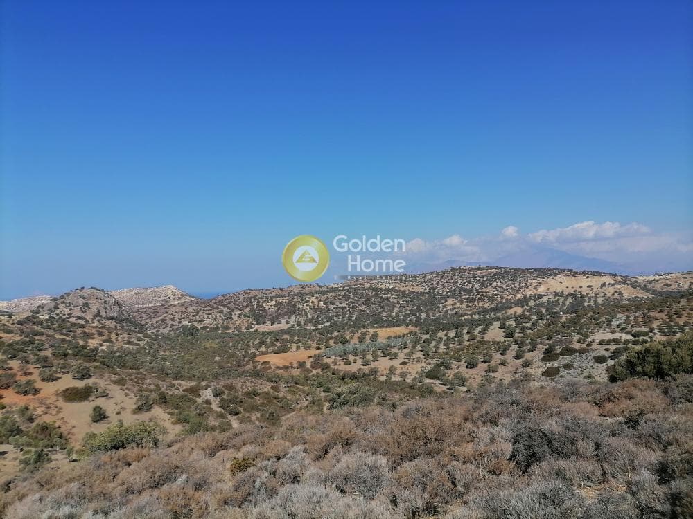 Οικόπεδο στην Πιτσίδια, Τυμπάκι — Φωτογραφία 19 από 24