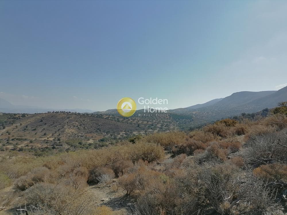 Οικόπεδο στην Πιτσίδια, Τυμπάκι — Φωτογραφία 22 από 24