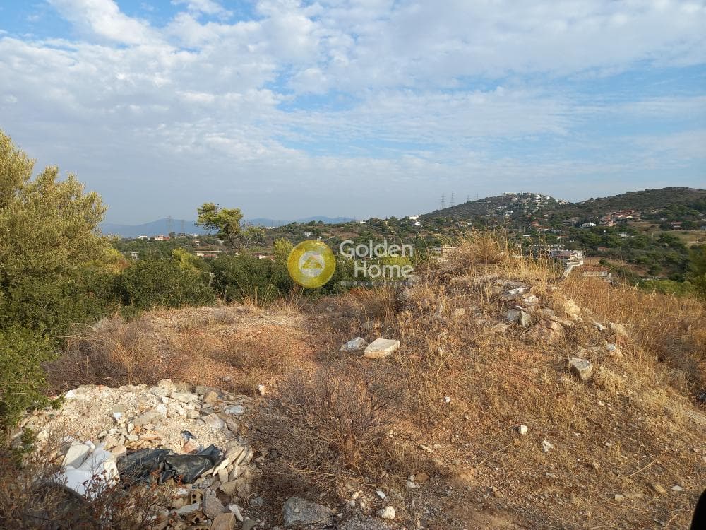 Οικόπεδο στην Ανθούσα, Ανθούσα — Φωτογραφία 3 από 11