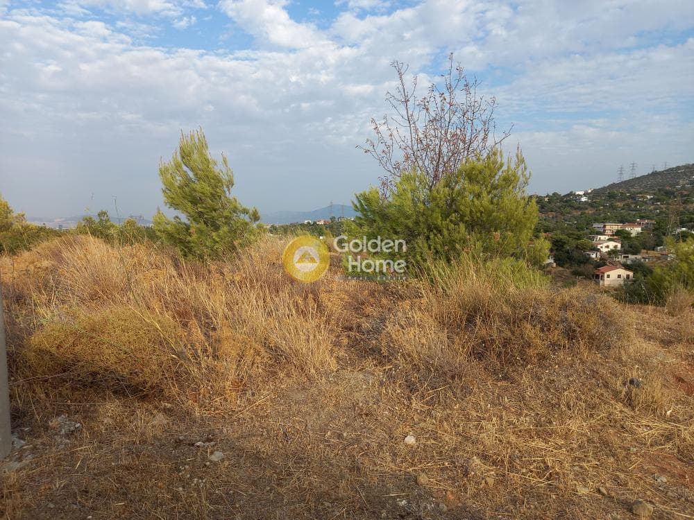 Οικόπεδο στην Ανθούσα, Ανθούσα — Φωτογραφία 5 από 11