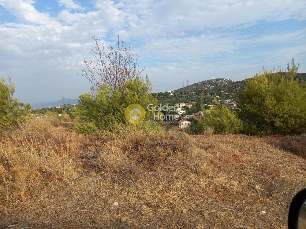 Οικόπεδο στην Ανθούσα, Ανθούσα — Φωτογραφία 6 από 11