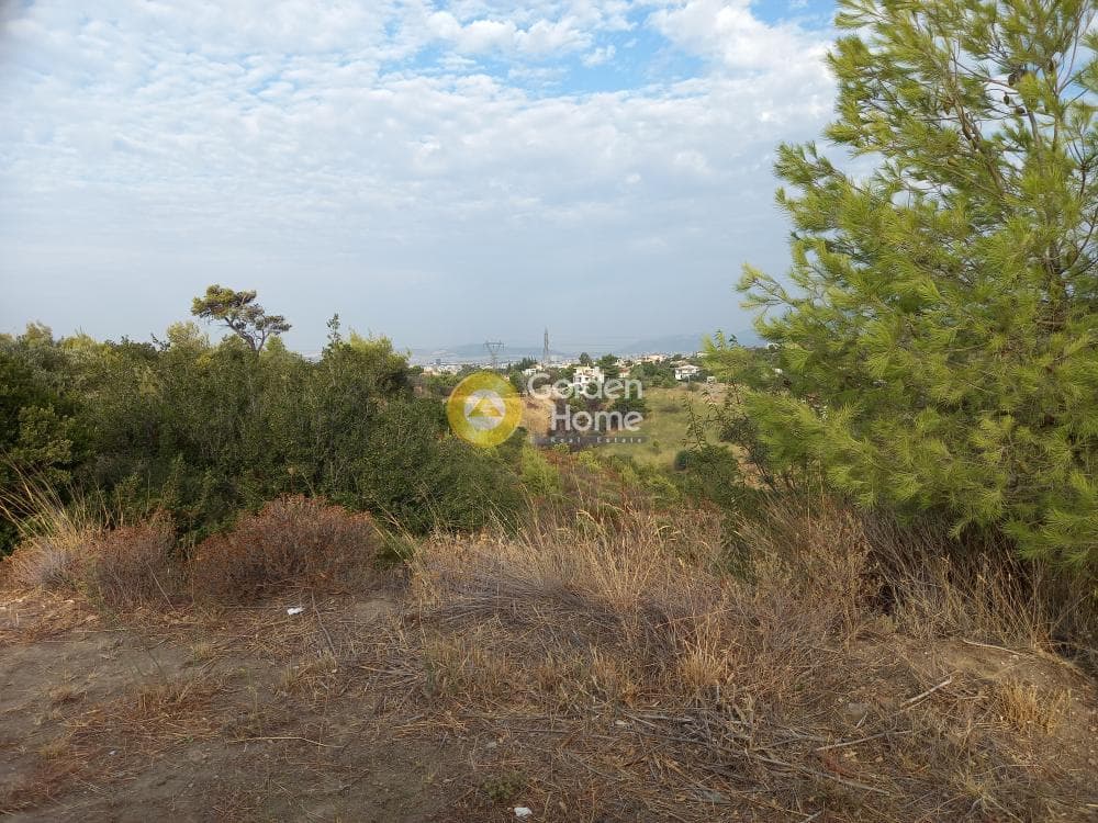Οικόπεδο στην Ανθούσα, Ανθούσα — Φωτογραφία 7 από 11