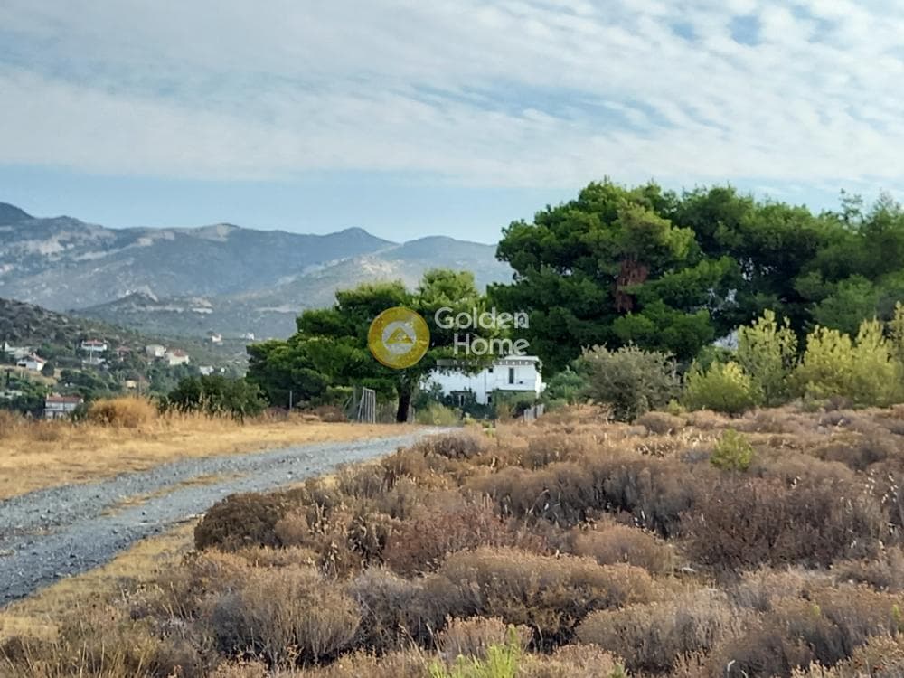 Οικόπεδο στην Ανθούσα, Ανθούσα — Φωτογραφία 2 από 11