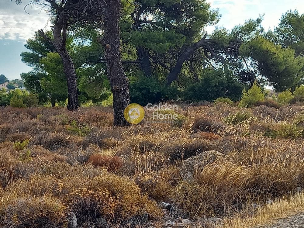 Οικόπεδο στην Ανθούσα, Ανθούσα — Φωτογραφία 8 από 11