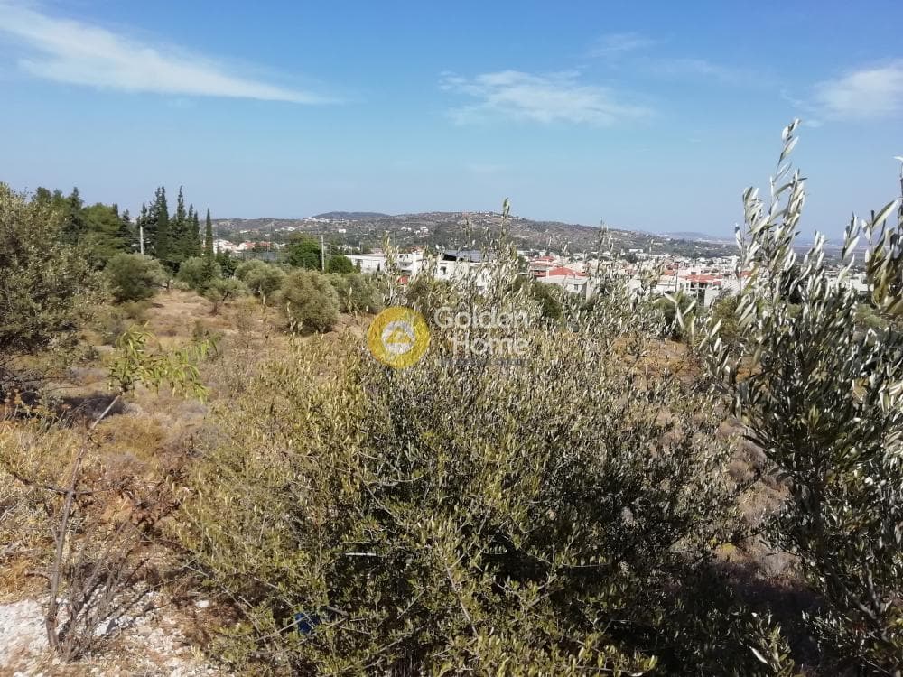 Οικόπεδο στην Μουσείο Βορρέ, Παιανία — Φωτογραφία 1 από 7
