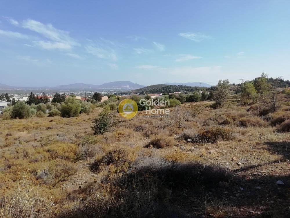 Οικόπεδο στην Μουσείο Βορρέ, Παιανία — Φωτογραφία 4 από 7