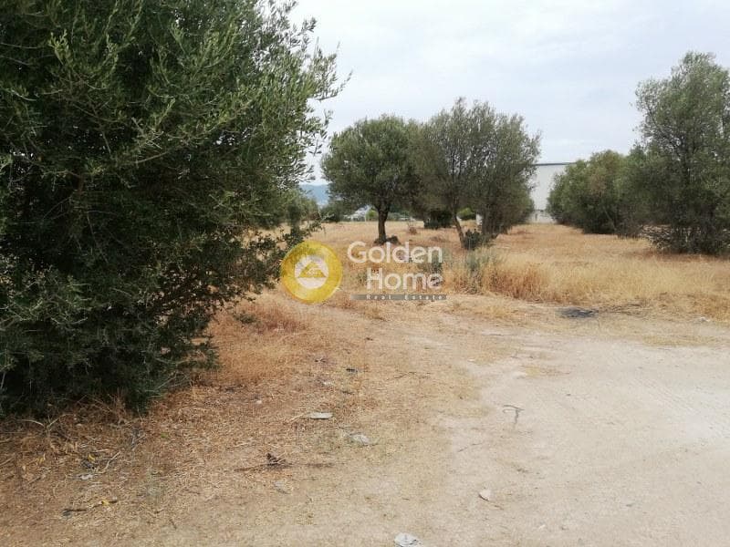Αγροτεμάχιο στην Μεγάλα Σχοινία Α, Αχαρνές — Φωτογραφία 1 από 4