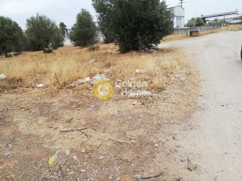 Αγροτεμάχιο στην Μεγάλα Σχοινία Α, Αχαρνές — Φωτογραφία 3 από 4