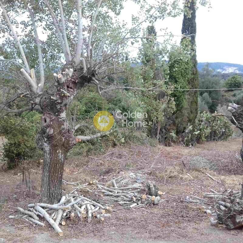 Building Plot in Αgios Georgios, Corfu — Photo 3 of 4