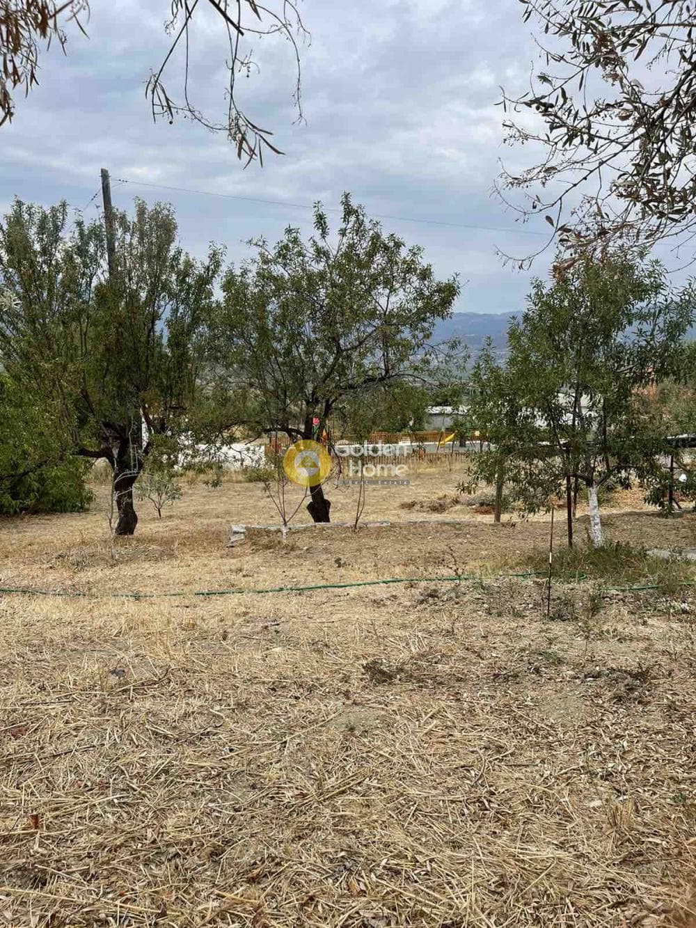 Μονοκατοικία στην Κούτσι, Νεμέα — Φωτογραφία 7 από 14