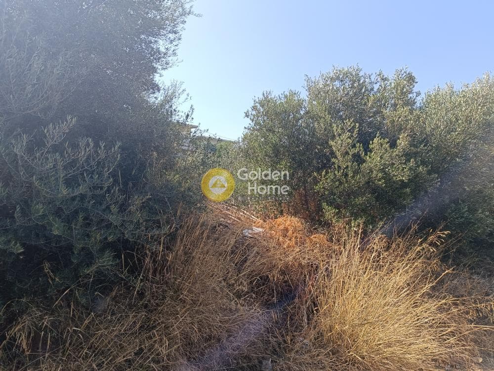 Building Plot in Oikismos Kokkino Limanaki, Rafina — Photo 1 of 2