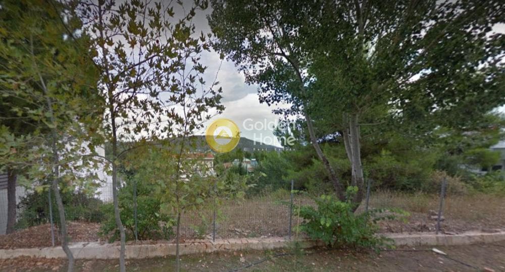 Οικόπεδο στην Δροσιά, Δροσιά — Φωτογραφία 2 από 6