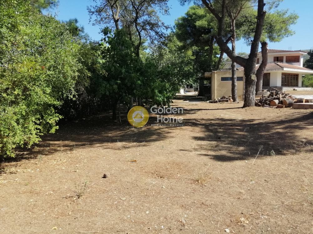 Building Plot in Adames Oikismos Peloponnision, Kifisia — Photo 6 of 19