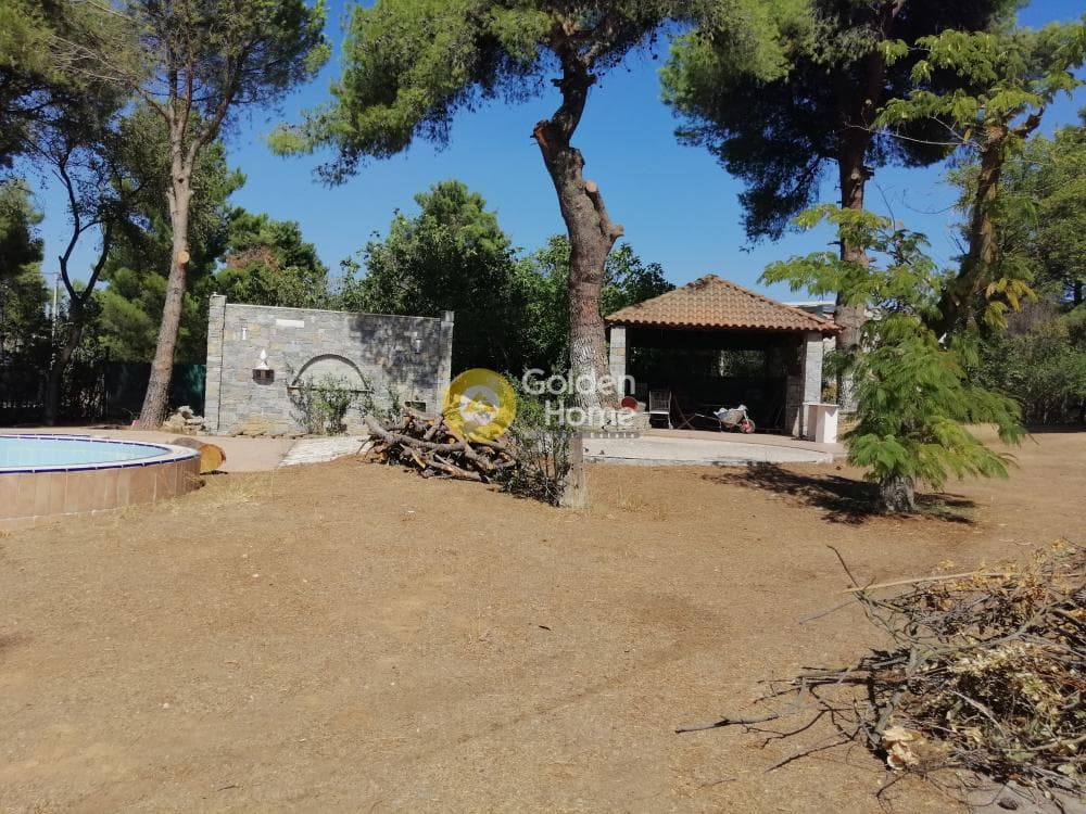 Building Plot in Adames Oikismos Peloponnision, Kifisia — Photo 9 of 19