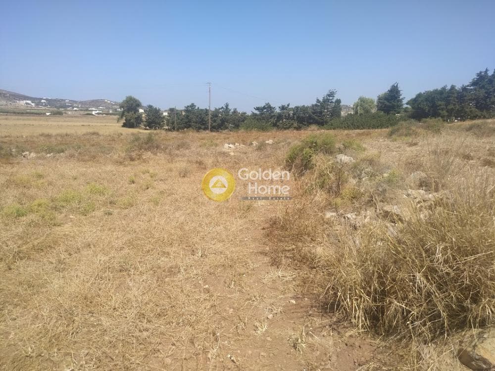 Αγροτεμάχιο στην Παροικιά, Πάρος