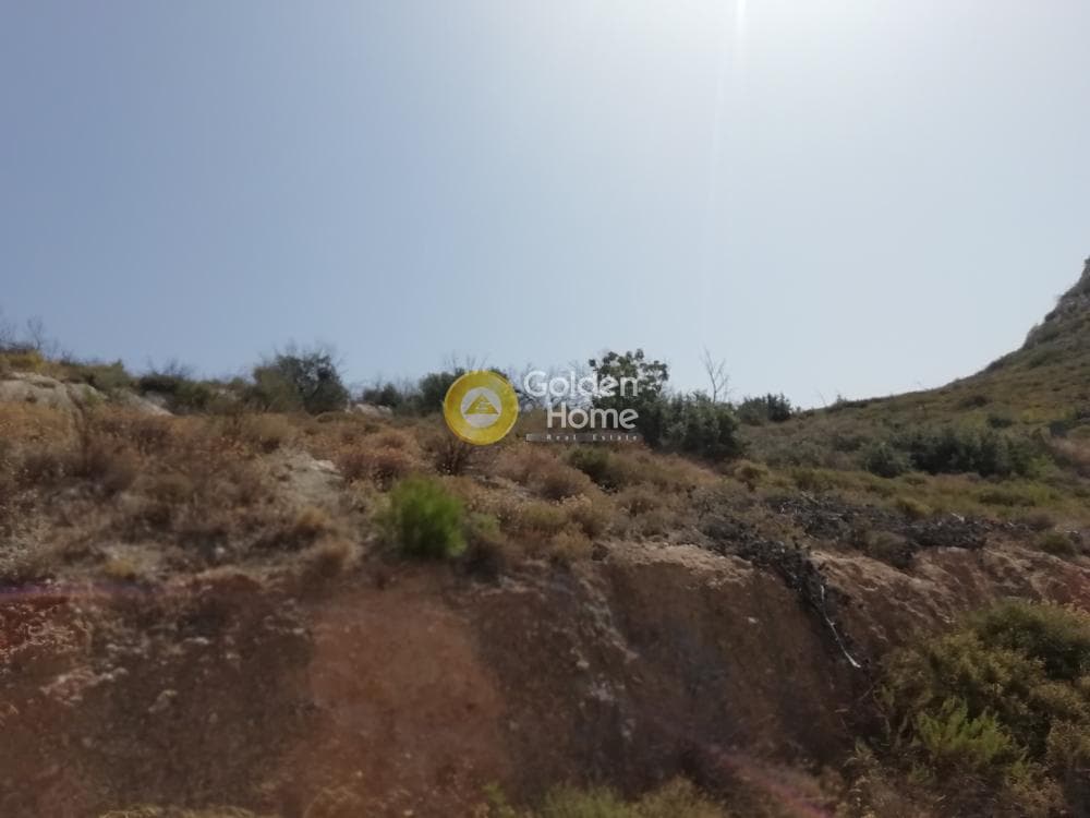 Building Plot in Limni Markopoulou, Markopoulo — Photo 3 of 7