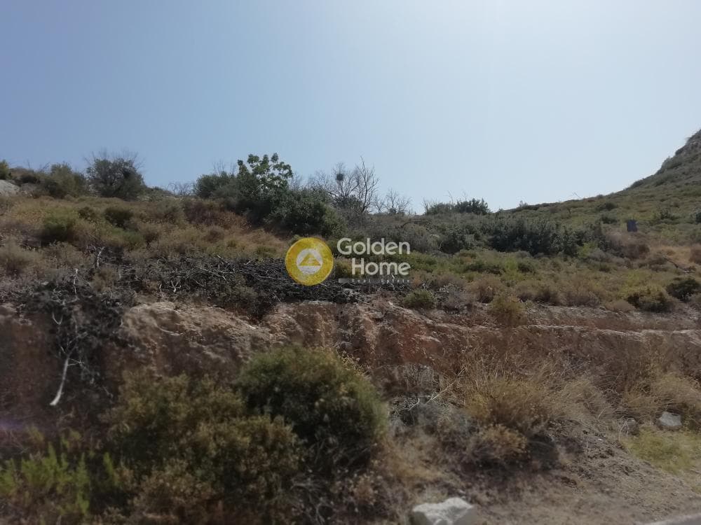 Building Plot in Limni Markopoulou, Markopoulo — Photo 4 of 7