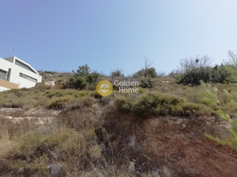 Building Plot in Limni Markopoulou, Markopoulo — Photo 6 of 7